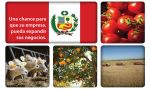 Ronda de Negocios Agroalimenticia y Ganadera con empresarios del Perú